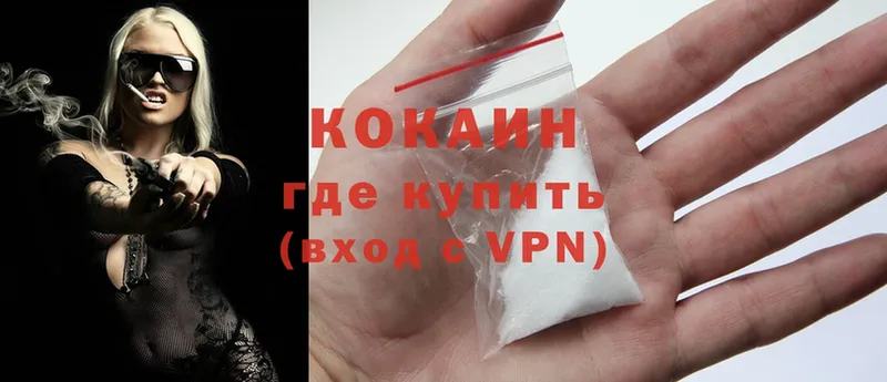 купить закладку  Лебедянь  Cocaine FishScale 